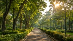 CHATUCHAK PARK